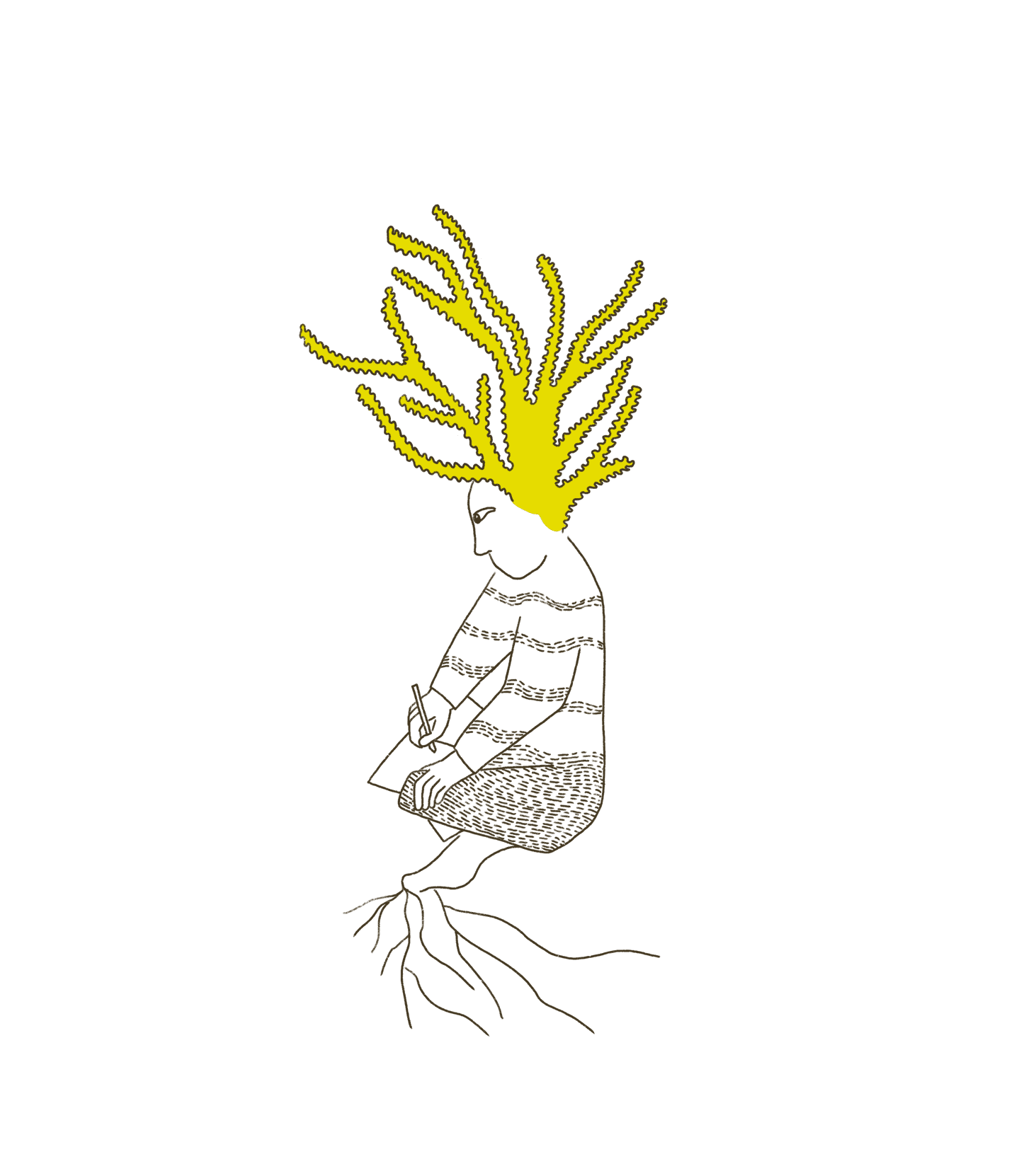 Media image