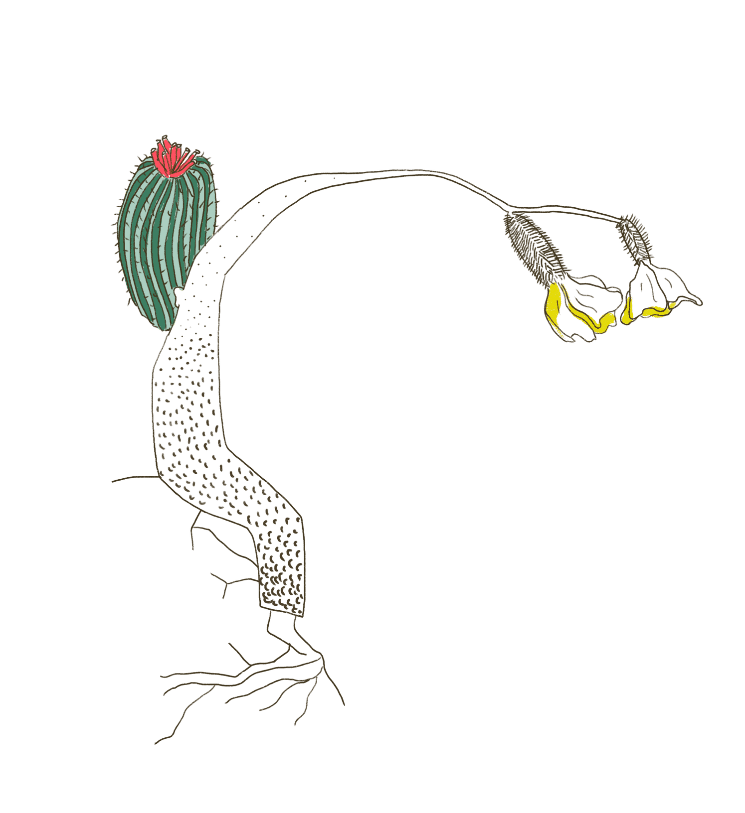 Media image